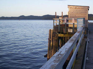 Port Hardy fishing